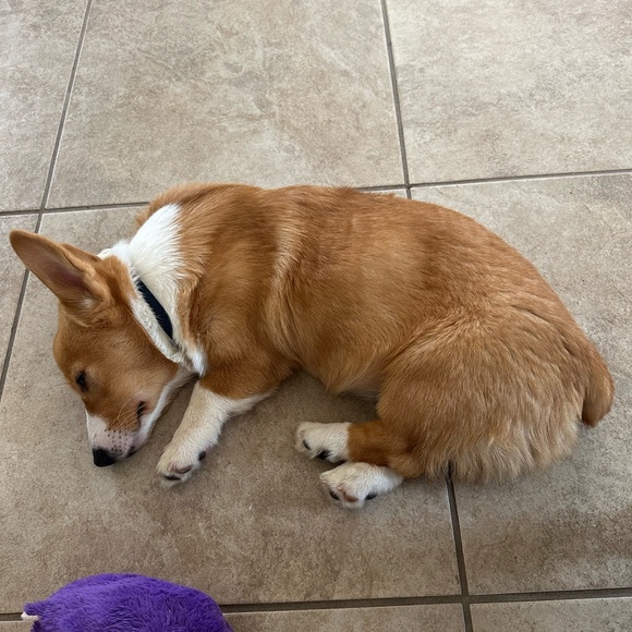 Welcome To My Closet - Picture 16 of 16